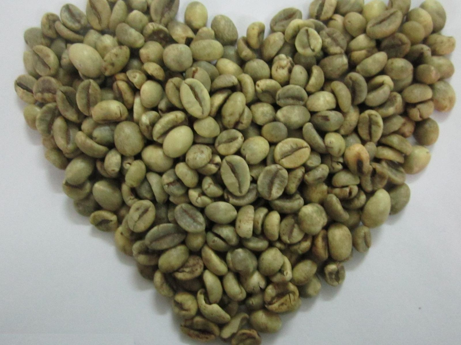 ROBUSTA COFFEE BEANS 