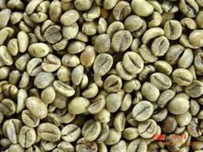 CÀ PHÊ ROBUSTA LOẠI 1, SÀNG 16 