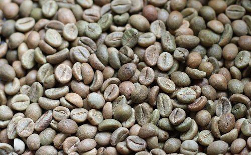 Robusta  green coffee beans Grade 2 screen 13 