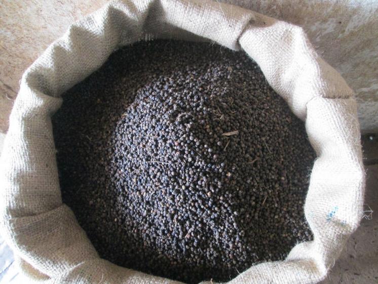 Vietnam black pepper 500 GL (FAQ) 